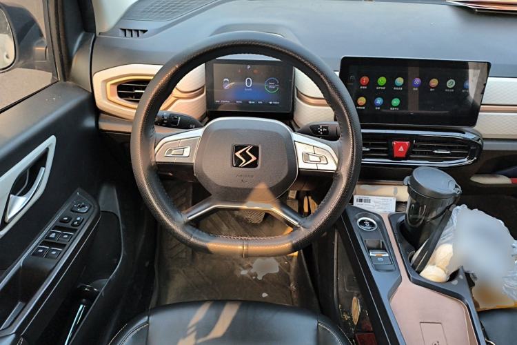 Used SOL E10X 2022 Flower Fairy Design Four-Leaf Clover