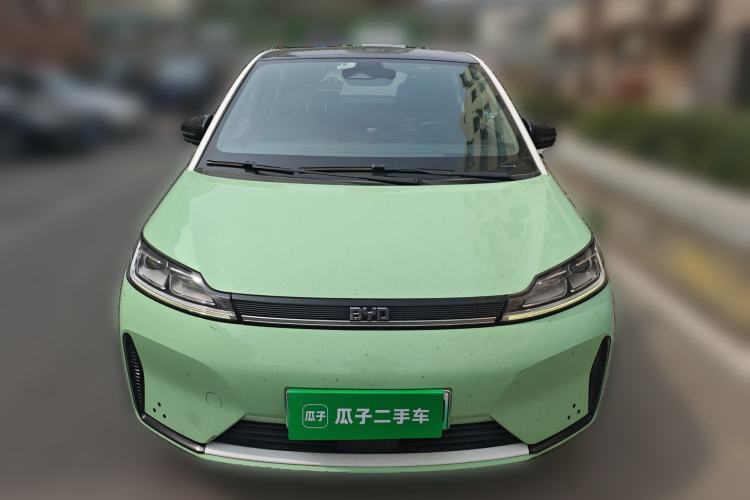 Used BYD D1 2021 Leading Edition
