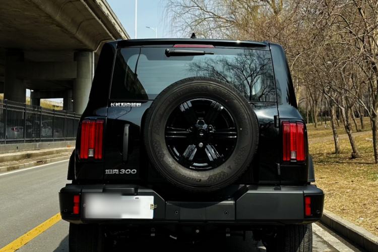 Used Tank 300 2025 2.0T Challenger