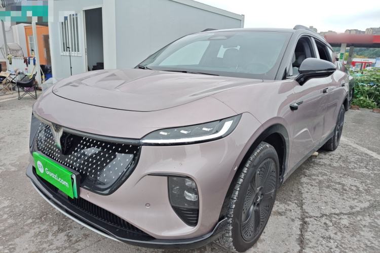 Used VOYAH COURAGE 2024 Four-Wheel Drive Global Edition