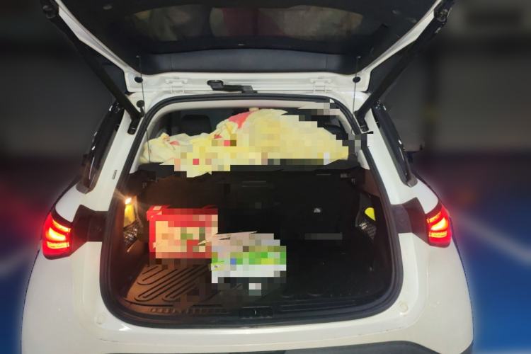 Used smart #1 2022 Pro+ Edition