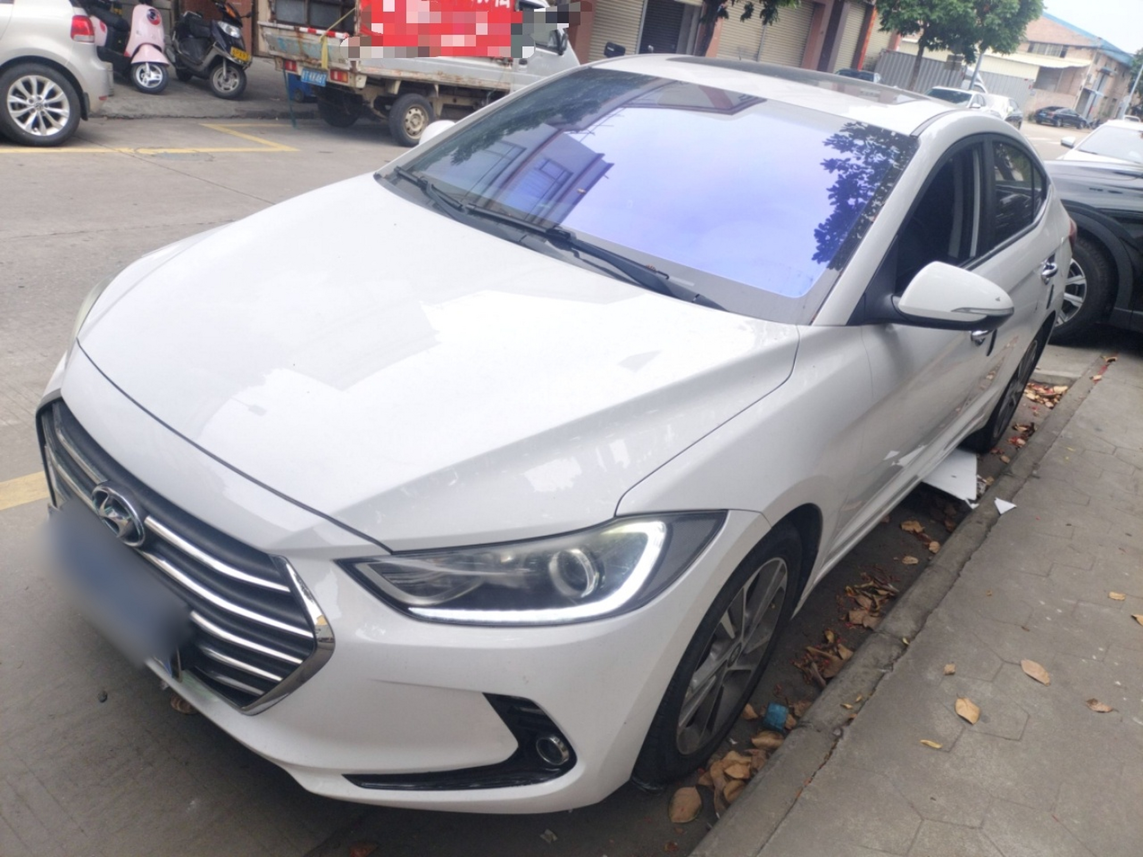 تحت مقدمة السيارة