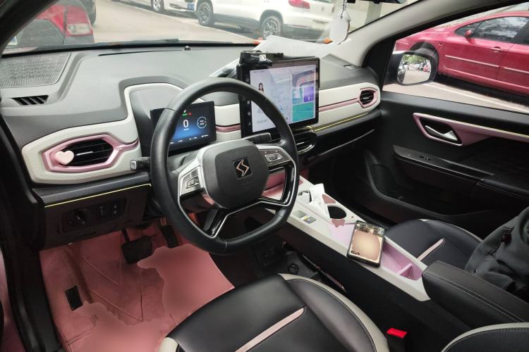 Used SOL E10X 2022 Flower Fairy Style Baby's Breath