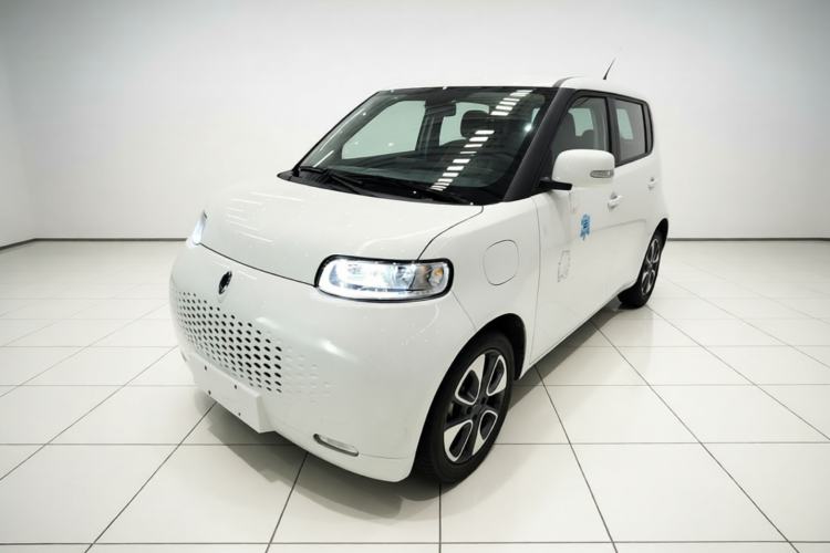 Used ORA White Cat 2020 305 km Luxury Version