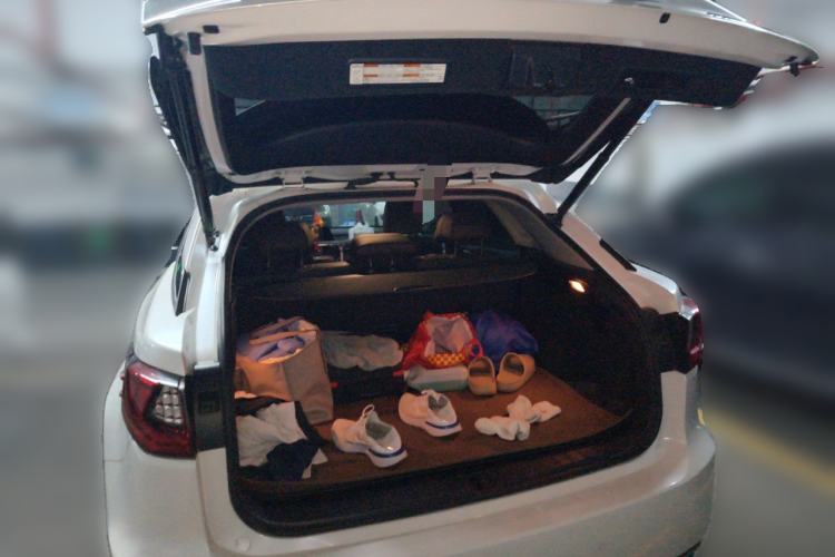 Used Lexus RX 2016 300 4x4 Elegant Edition China V-standard
