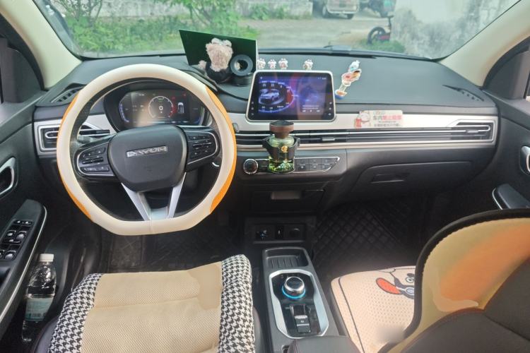 Used Dayun Yuehu 2021 32.85 kWh Two-Wheel-Drive Sprite Version Center Console