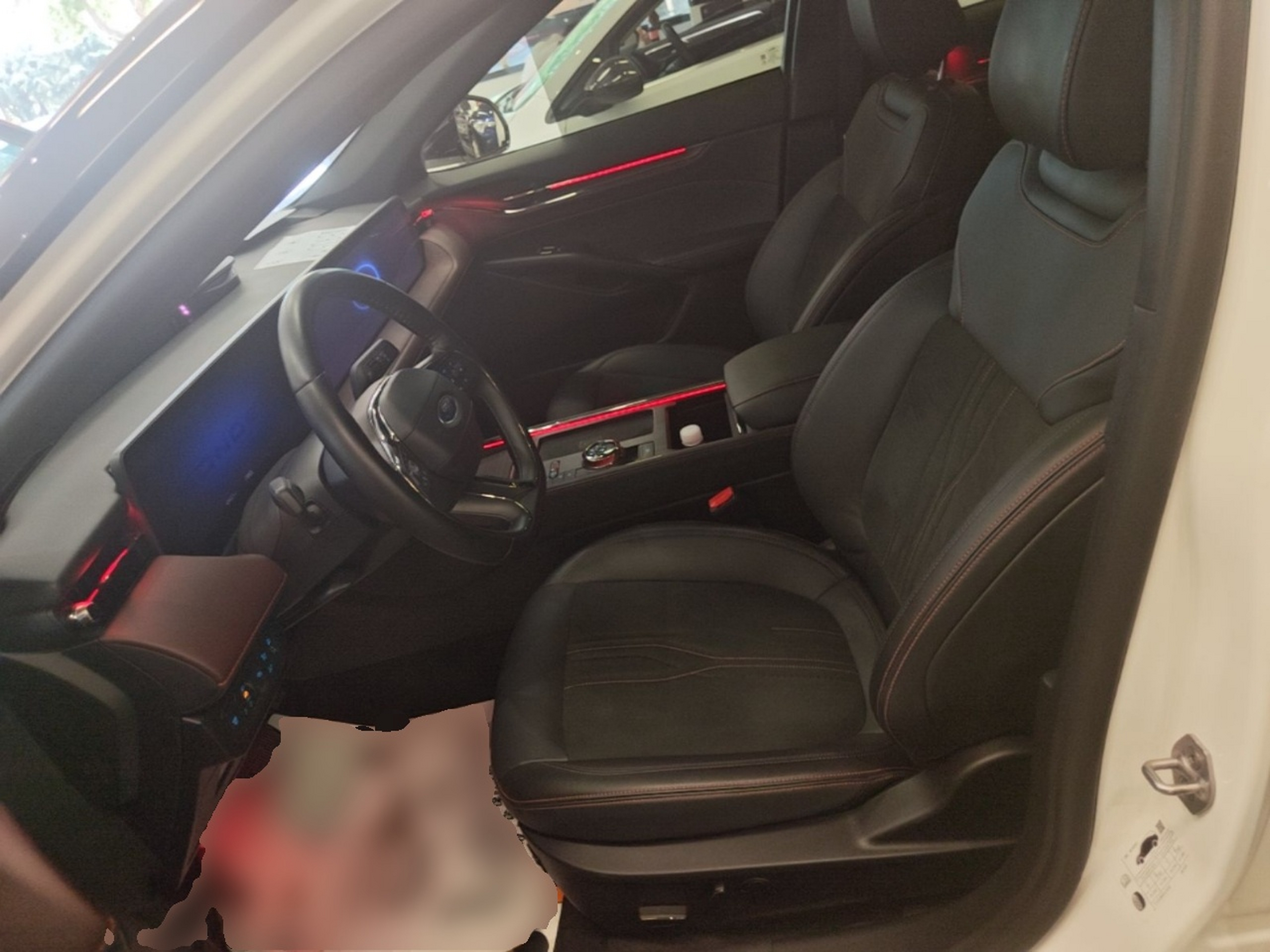 Interior delantero