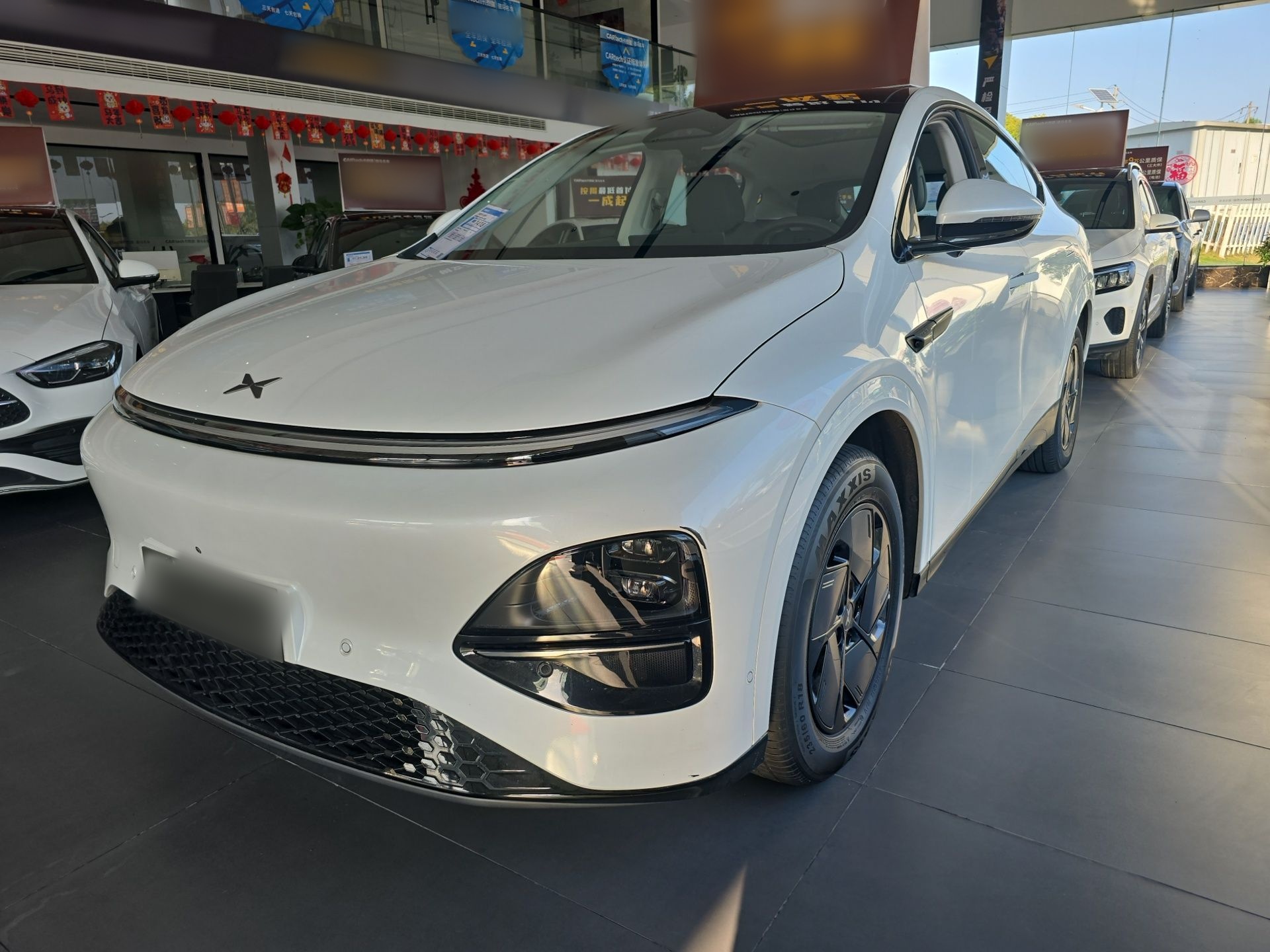 Parte inferior delantera