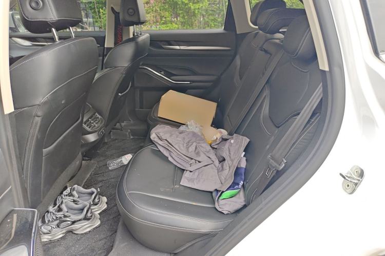 Used Haval H6 2021 3rd Generation 1.5T Automatic Two-Wheel-Drive Supreme Left Rear Seat