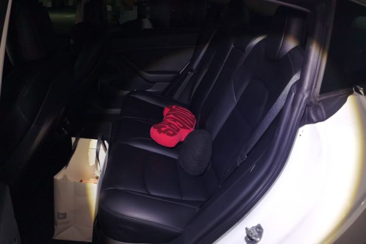 Used Tesla Model 3 2020 Long-Range Rear-Wheel-Drive Version Left Rear Seat