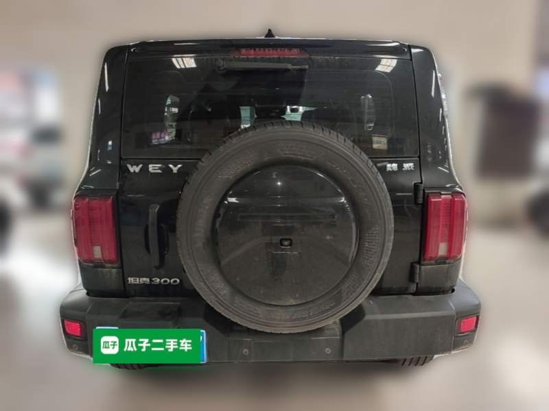 Used Tank 300 2021 Off-Road Edition 2.0T Conqueror — 5