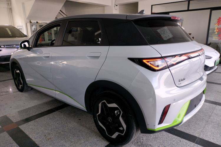 Used BYD Dolphin 2021 405 km Free Version
