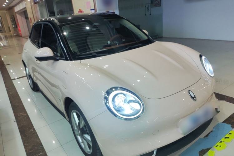 Used ORA Good Cat 2023 401 km Standard Range Luxury Version Lithium Iron Phosphate