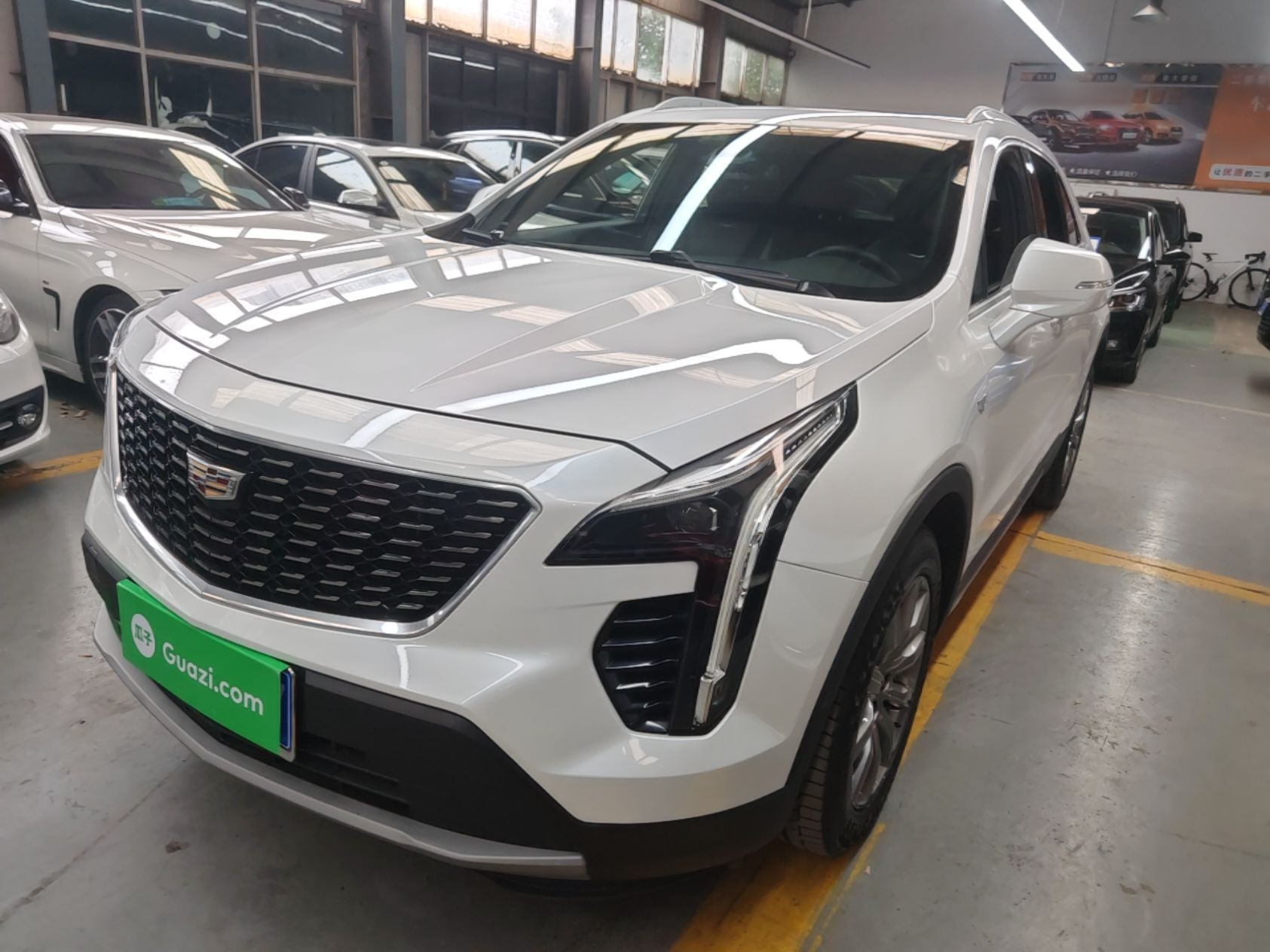 Under Front Bumper