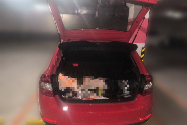 Used Skoda Rapid Spaceback 2019 Revised Version 1.5L Automatic Comfort Edition China VI Standard
