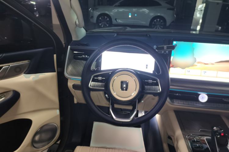 Used Tank 500 New Energy 2024 Hi4-T Steering Wheel