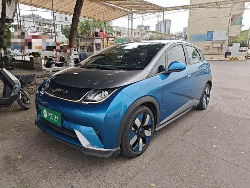 Used BYD Dolphin 2021 401km Knight Edition — 1