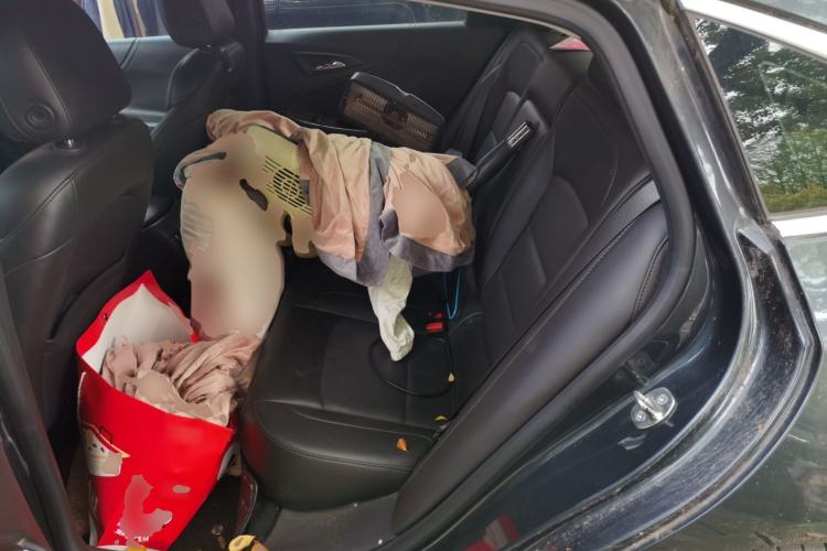 Used Chevrolet Malibu 2017 1.5T Automatic Luxury Edition Left Rear Seat