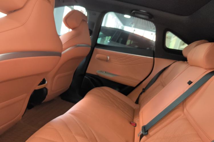 Used Deepal S07 2023 520Max Pure Electric Version Left Rear Seat