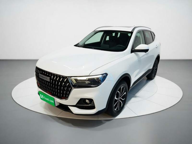 Used Haval H6 2023 National Trend Edition 1.5T Automatic Urban Version — 1