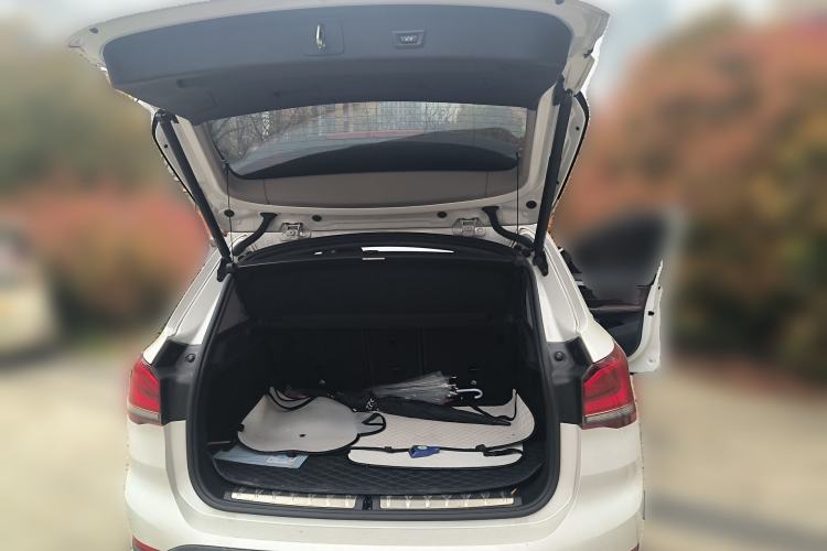 Used BMW X1 2020 sDrive20Li Premium Edition