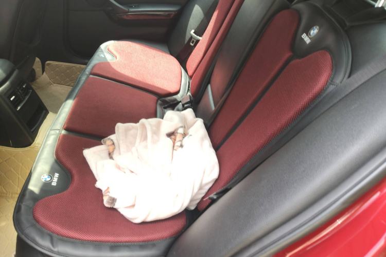 Used BMW 3 Series 2010 320i Luxury Model
