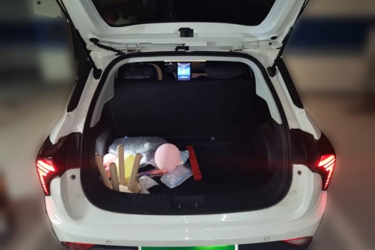 Used NETA V 2021 Standard Range Entertainment Edition