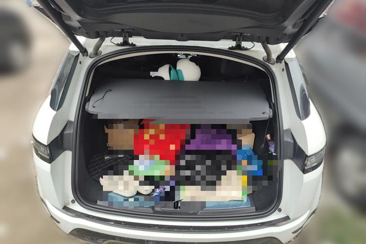 Used Land Rover Range Rover Evoque 2022 Aurora L 249 PS R-Dynamic Luxury Edition