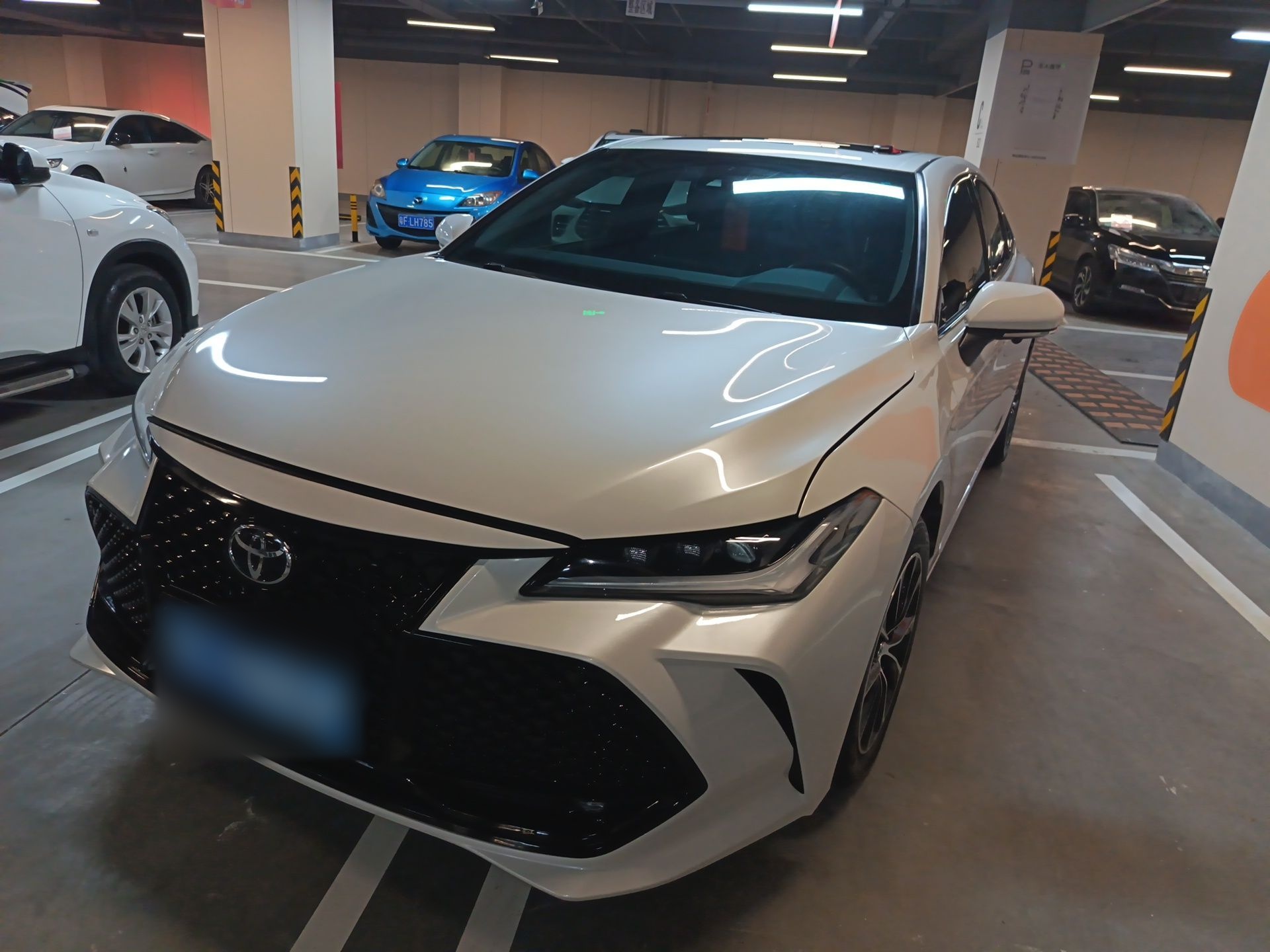 تحت مقدمة السيارة