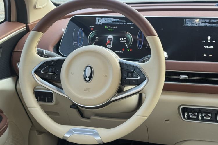 Used ORA Good Cat 2023 401 km Standard Range Luxury Version Lithium Iron Phosphate
