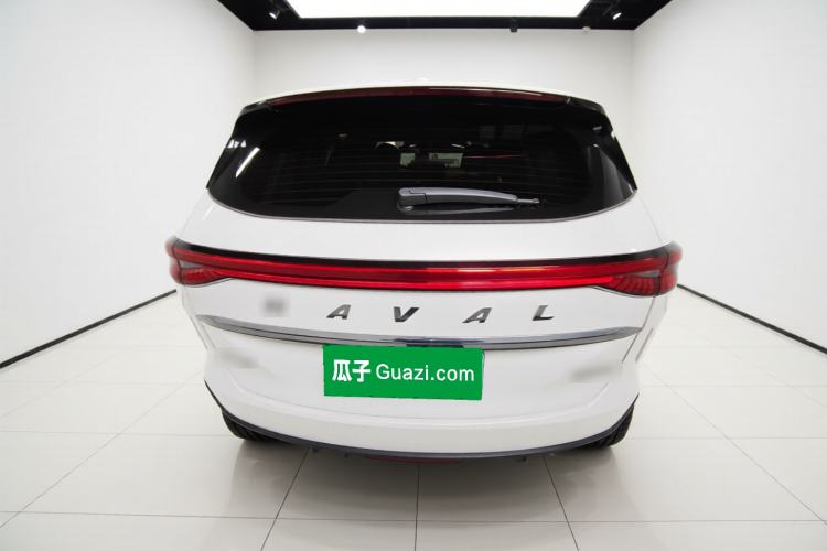 Used Haval H6 2024 1.5T Two-Wheel-Drive Classic Edition Rear