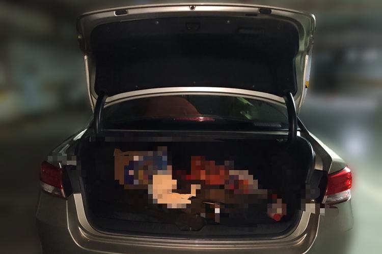 Used Kia K5 2016 1.6T Automatic LUX