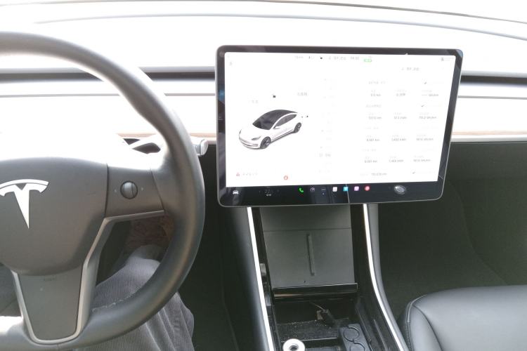 Used Tesla Model 3 2020 Revised Version Standard Range Rear-Wheel Drive – Upgraded Edition
