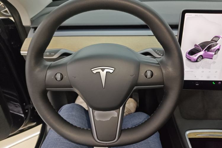 Used Tesla Model Y 2022 Long-Range All-Wheel-Drive Version