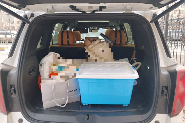 Used GAC Trumpchi GS8 2025 Linghang Series 2.0 TGDI Two-Wheel-Drive Luxury Edition 5 Seats
