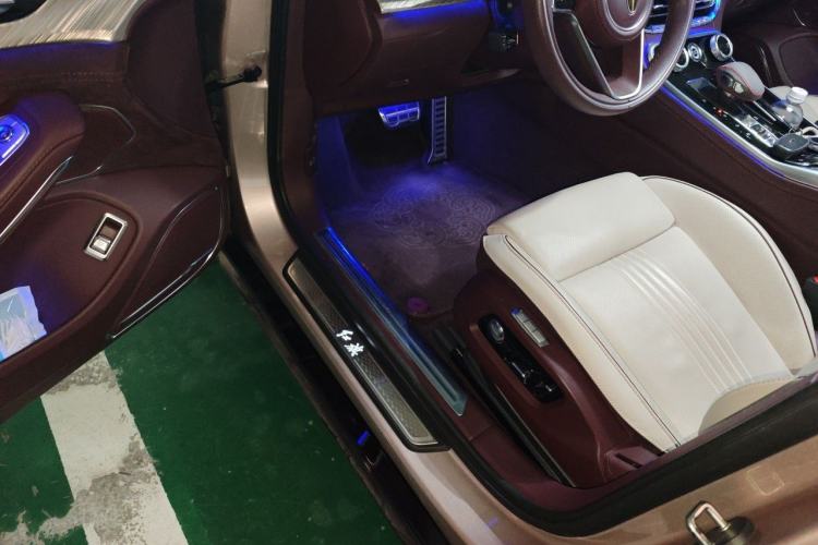 Used Hongqi H9 2020 3.0T Smart Connect Flagship Four-Seat Version
