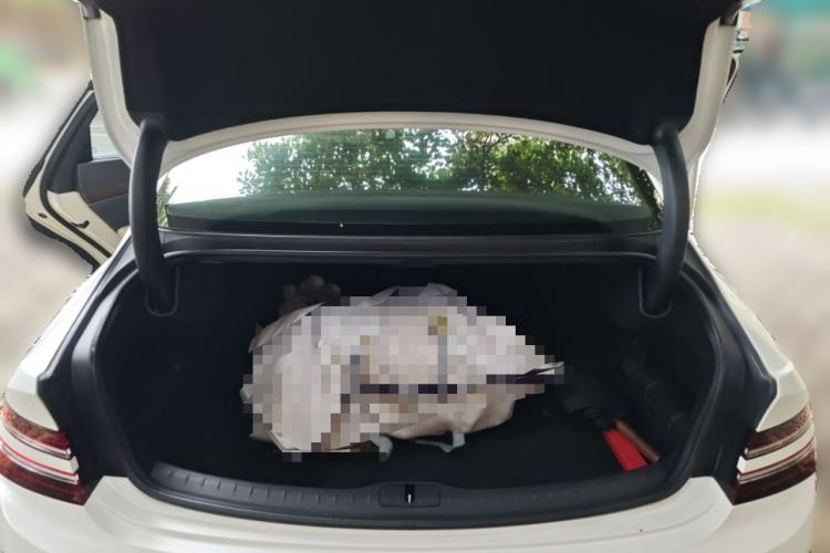 Used Genesis G80 2021 2.5T Rear-Drive Flagship Edition Trunk