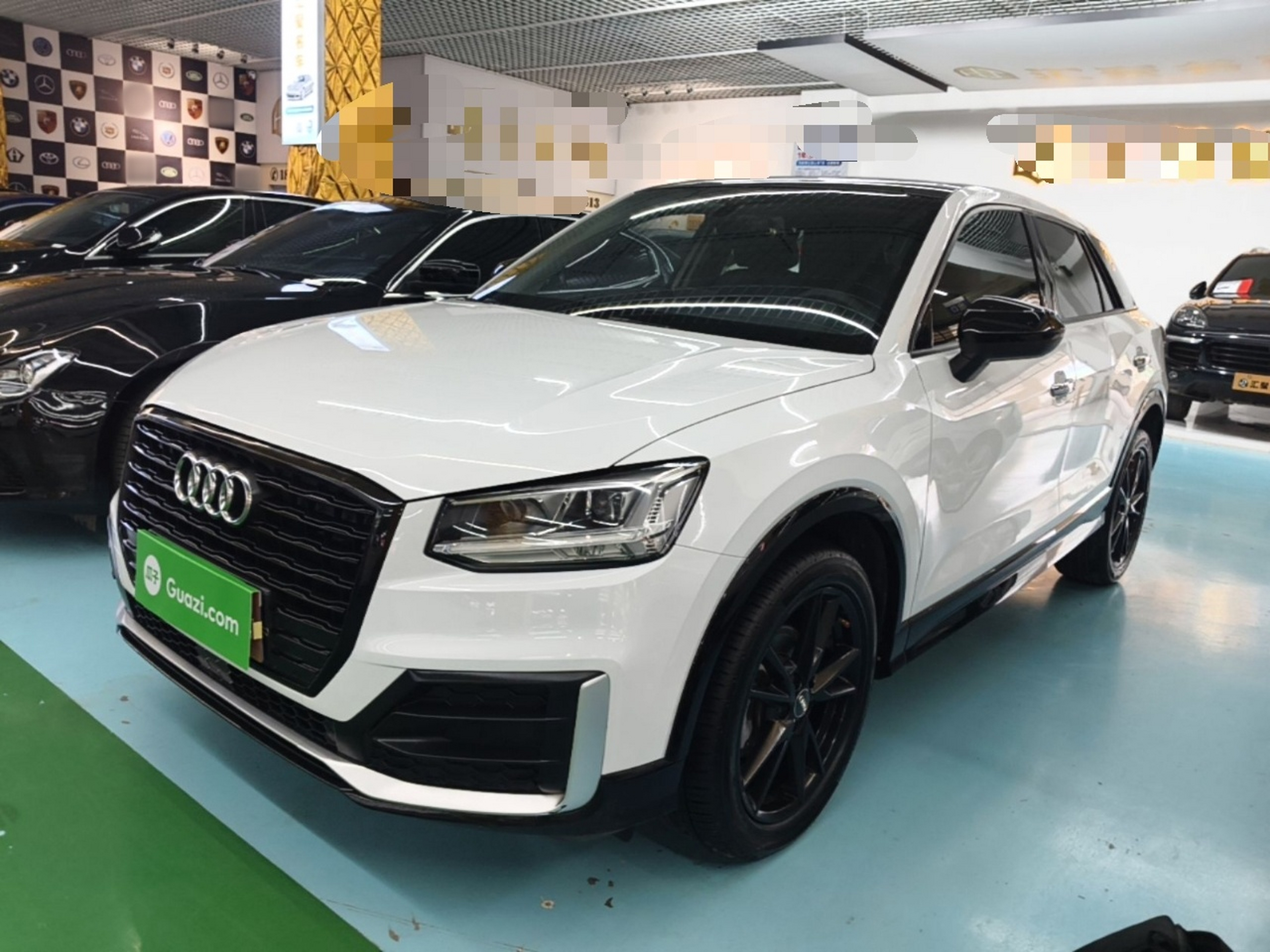 Parte inferior delantera