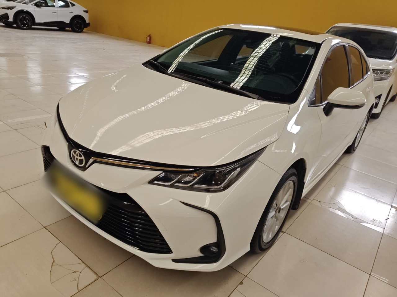 Parte inferior delantera