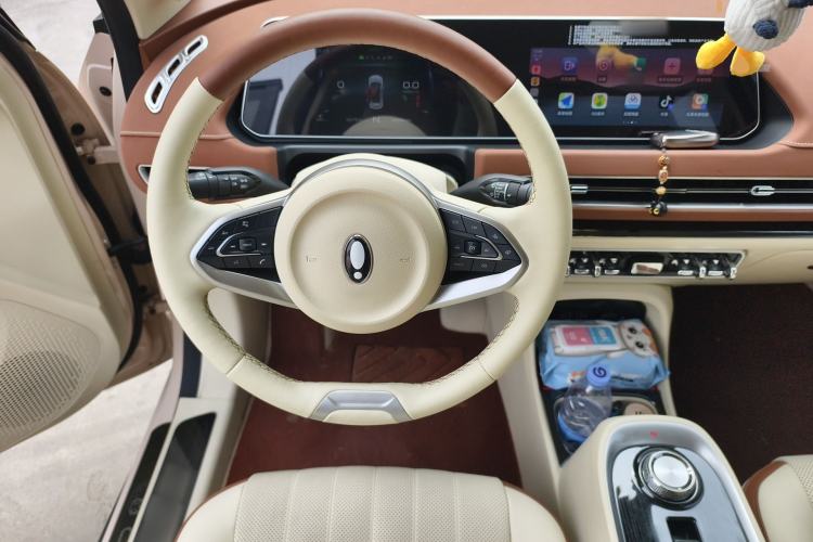 Used ORA Good Cat 2022 Morandi Edition 400km Standard Range Premium Version Lithium Iron Phosphate Steering Wheel