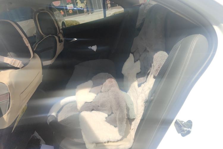 Used Chevrolet Malibu 2016 2.0L Automatic Luxury Edition Left Rear Seat