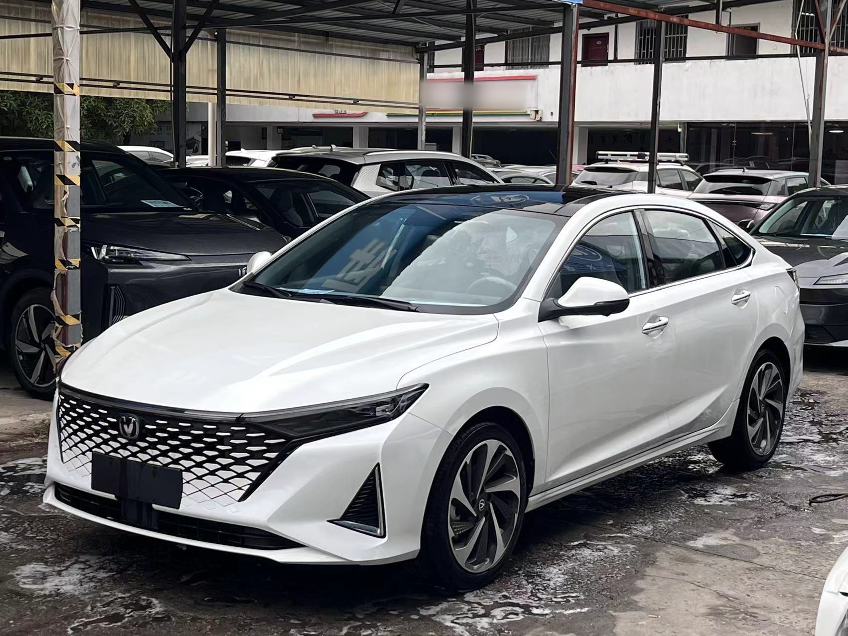 تحت مقدمة السيارة