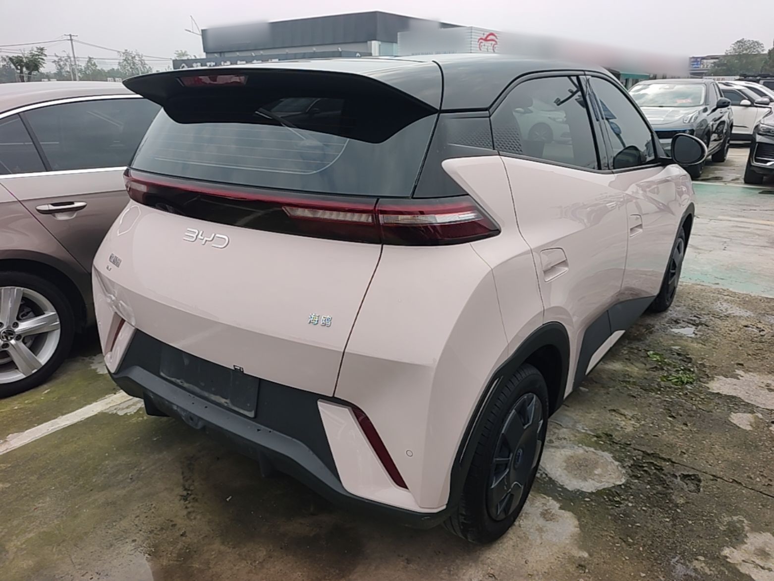 BYD Seagull 2025 305km Active Version — снимка 6
