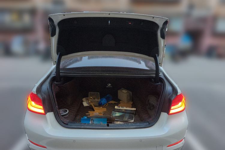 Used BMW 5 Series 2019 530Li Leading Model Luxury Package