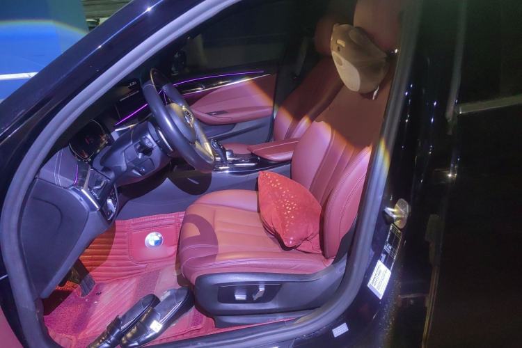 Used BMW 5 Series 2020 530Li Leading Model M Sport Package