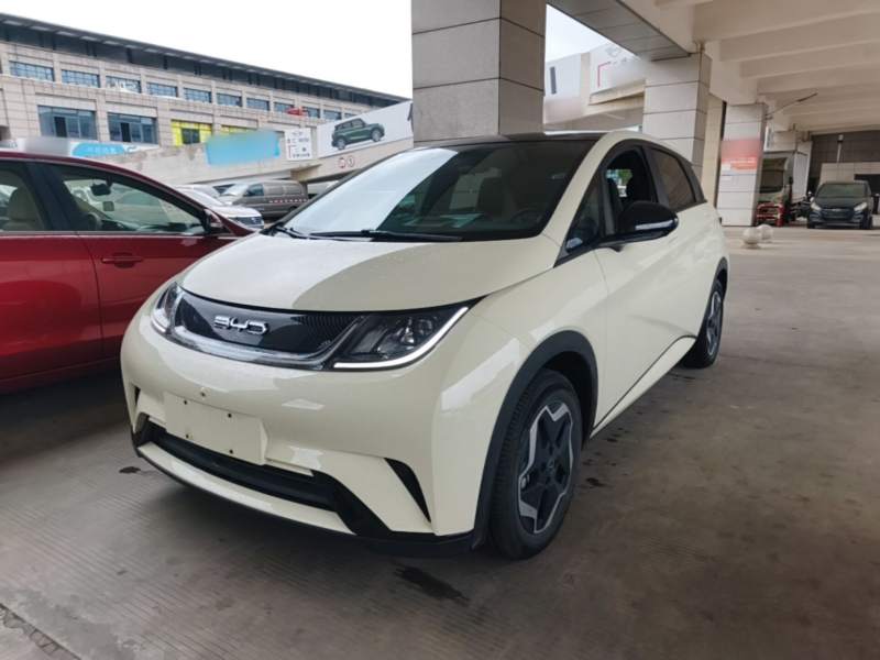 Used BYD Dolphin 2021 405 km Fashion Edition — 1
