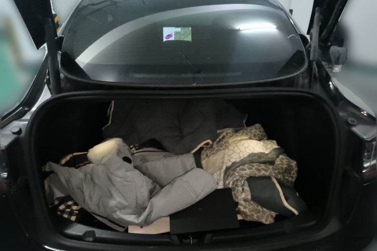 Used Tesla Model 3 2021 Standard Range Rear-Wheel Drive Upgraded Version 3D6