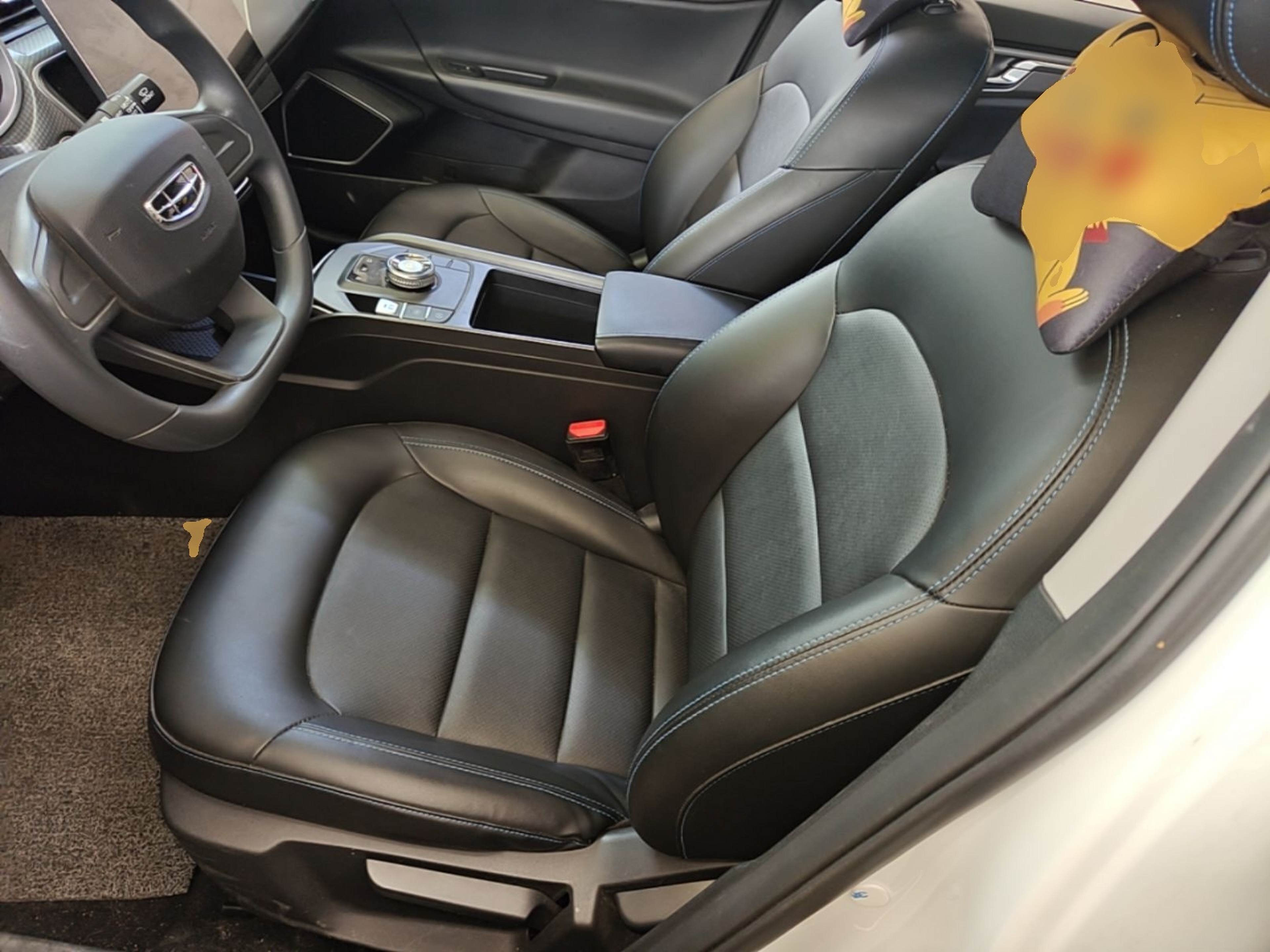 Interior delantero