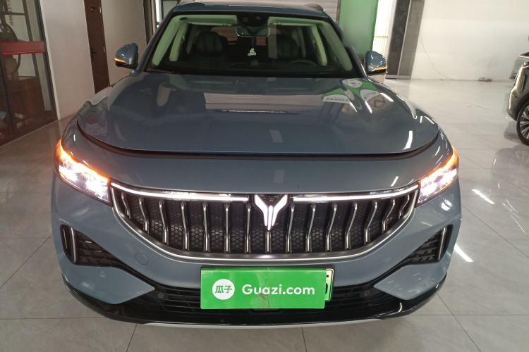 Used VOYAH FREE 2022 Four-Wheel Drive Ultra-Long Range Pure Electric Version