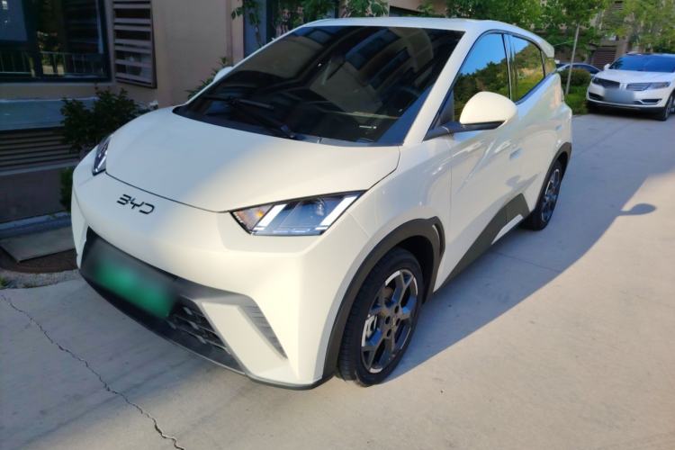 Used BYD Seagull 2025 305 km Free Version